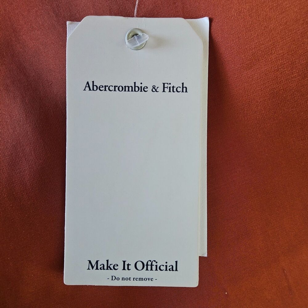 Abercrombie & Fitch Satin Midaxi Skirt Rust Brown Paprika Size M - Picture 2 of 9